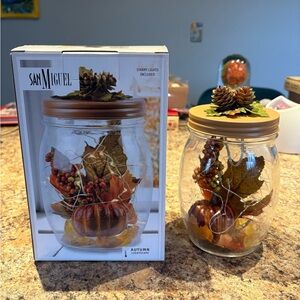 Cute Autumnal Fairy Light Jar